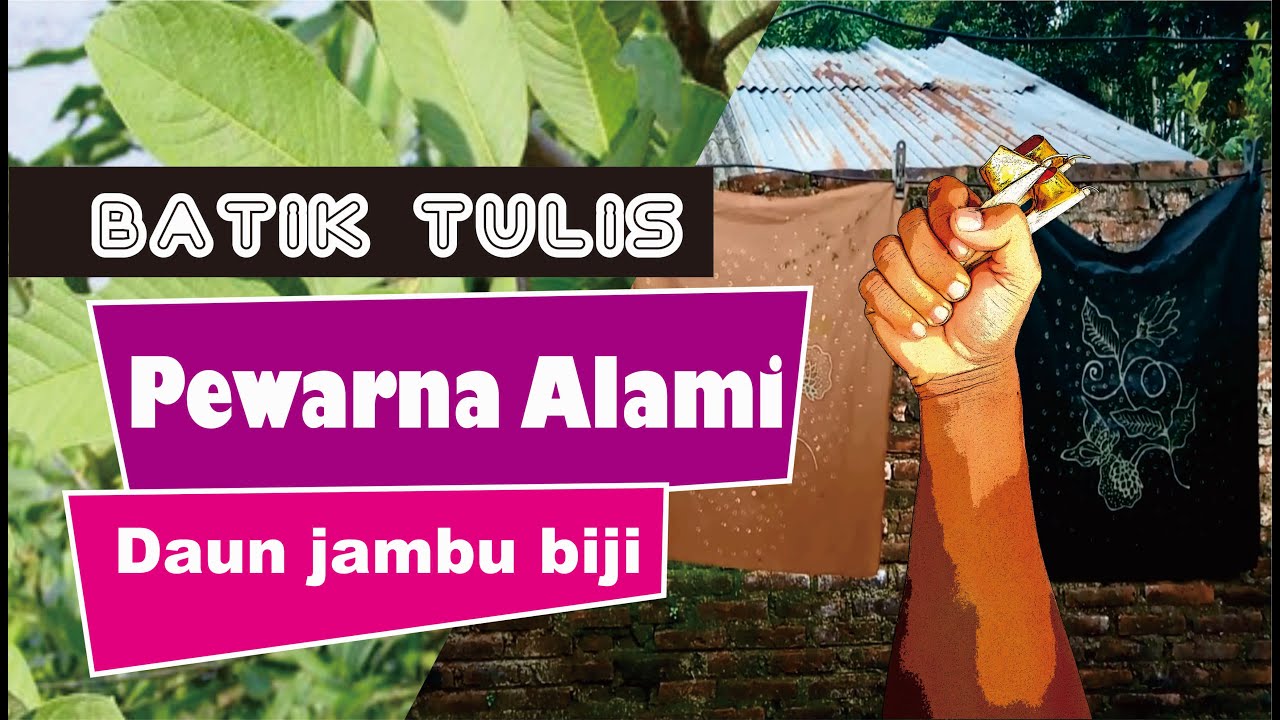 CARA MEMBUAT BATIK TULIS PEWARNA ALAM DAUN JAMBU BIJI - Andi artistik