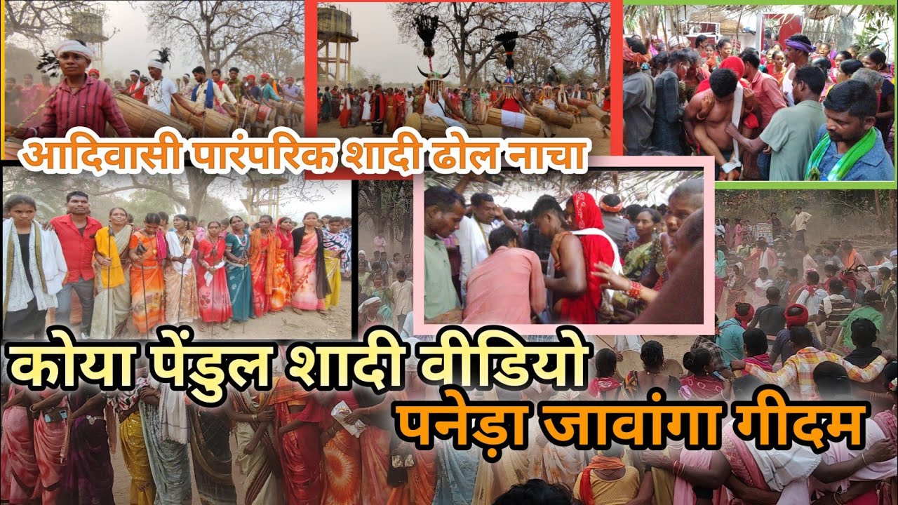 आदिवासी पारंपरिक कोया पेंडुल वीडियो|| ग्राम पनेड़ा जावांगा गीदम|| aadivasi cultural shadi 2026 