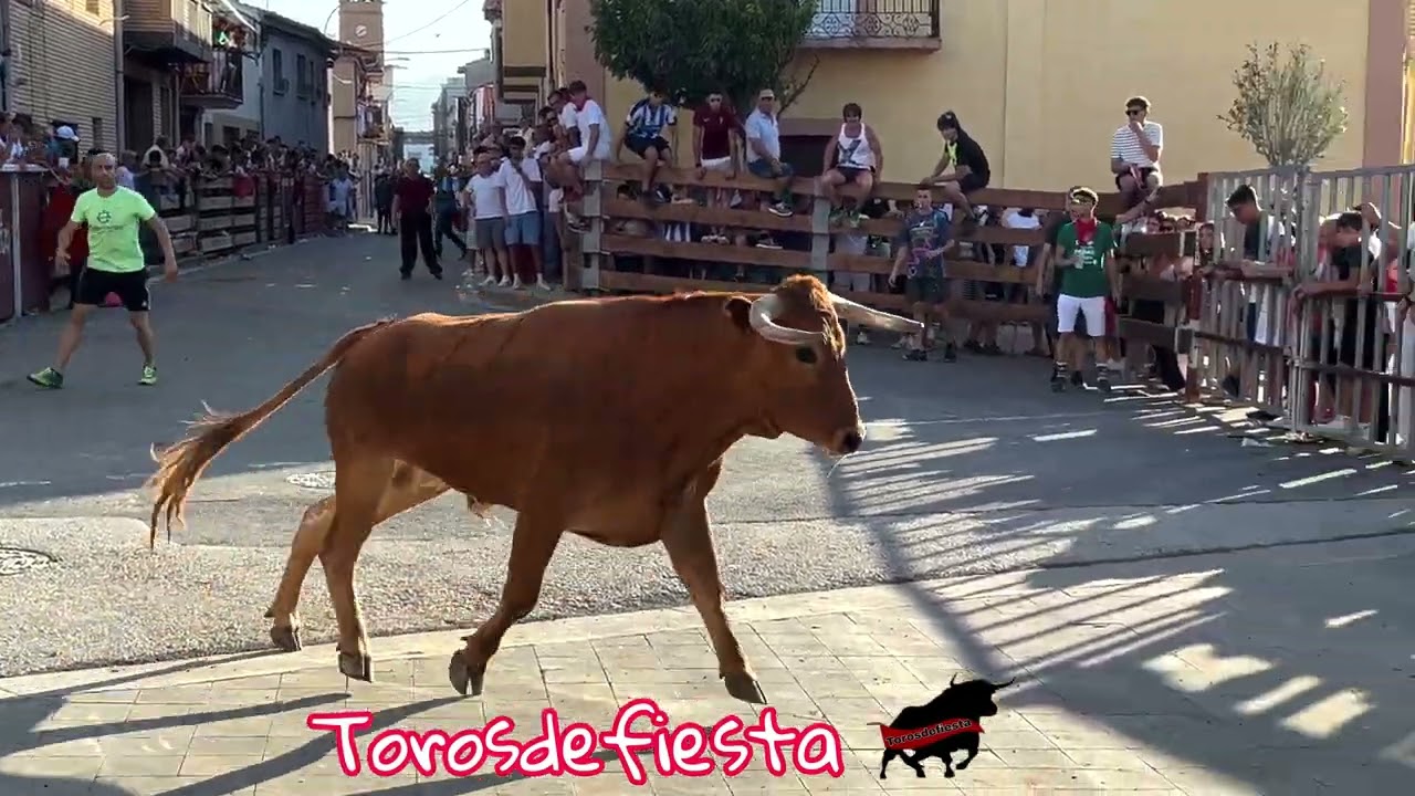 Ribaforada tarde con Ganadería Hnos. Gracia Blasco