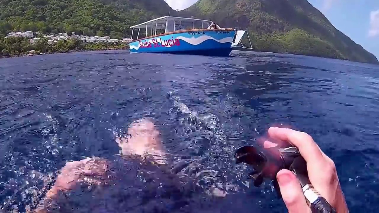 POV Saint Lucia Dive
