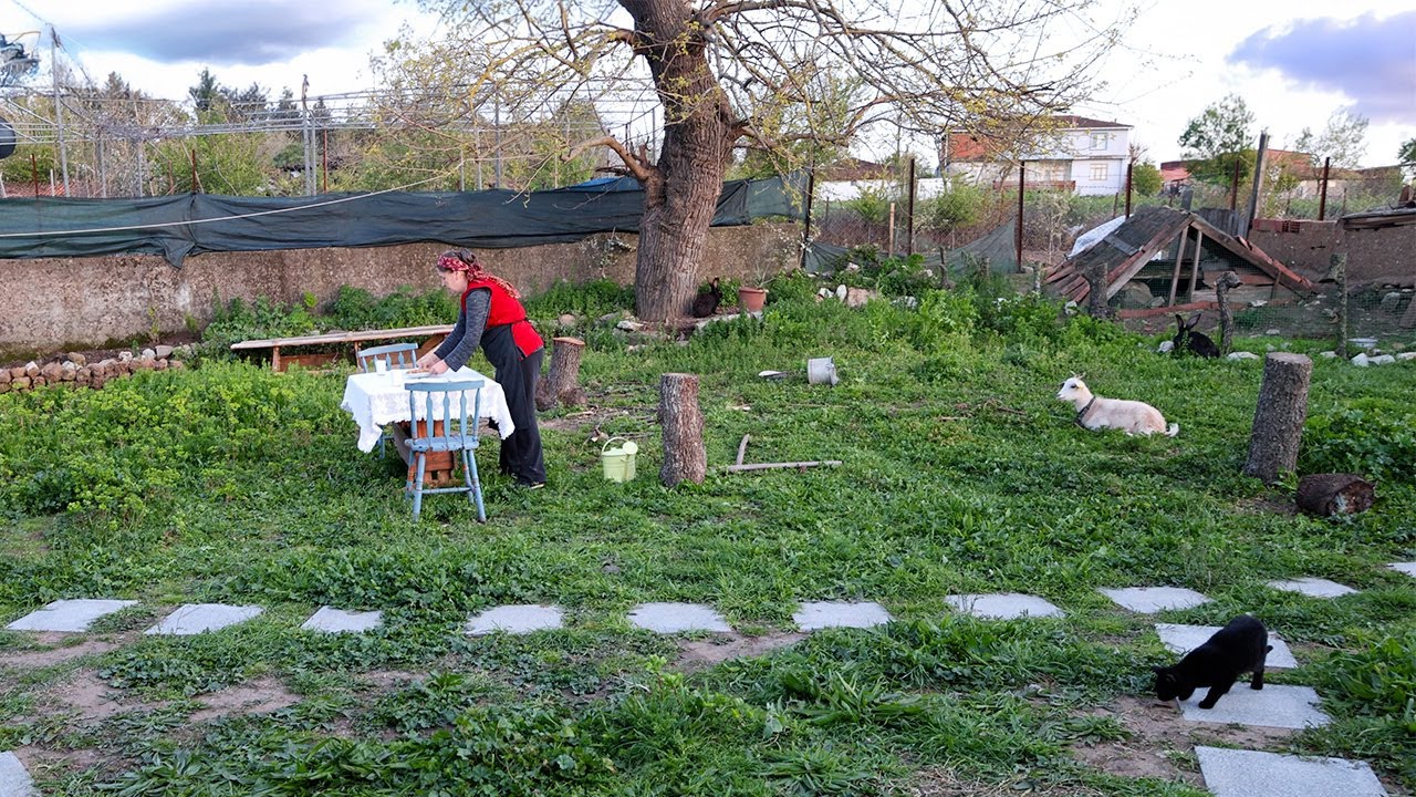 Happy Old Age of an Elderly Couple in the Village – Making Turkish Baklava