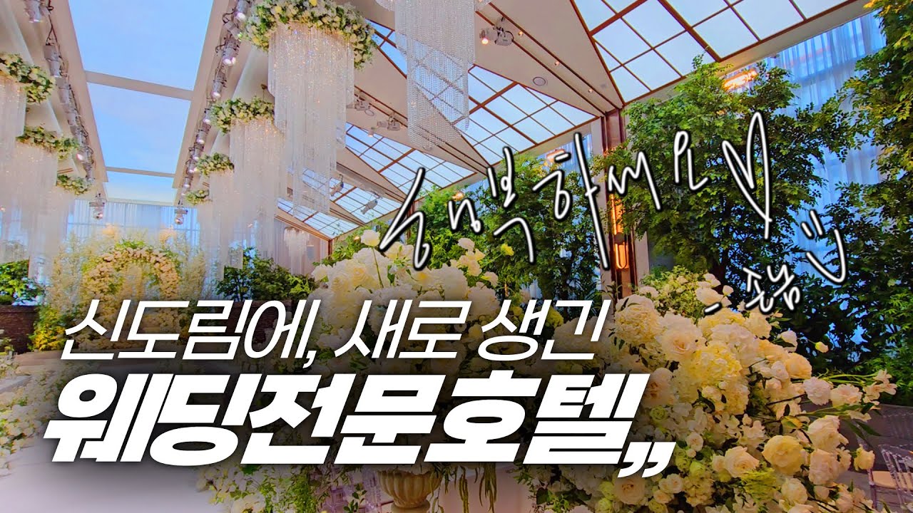 서울 새 호텔 ! ! 더 링크 트리뷰트 포트폴리오 (메리어트 호텔)