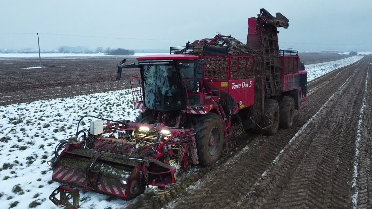 [New Holmer Terra Dos 5] - sugarbeet harvest