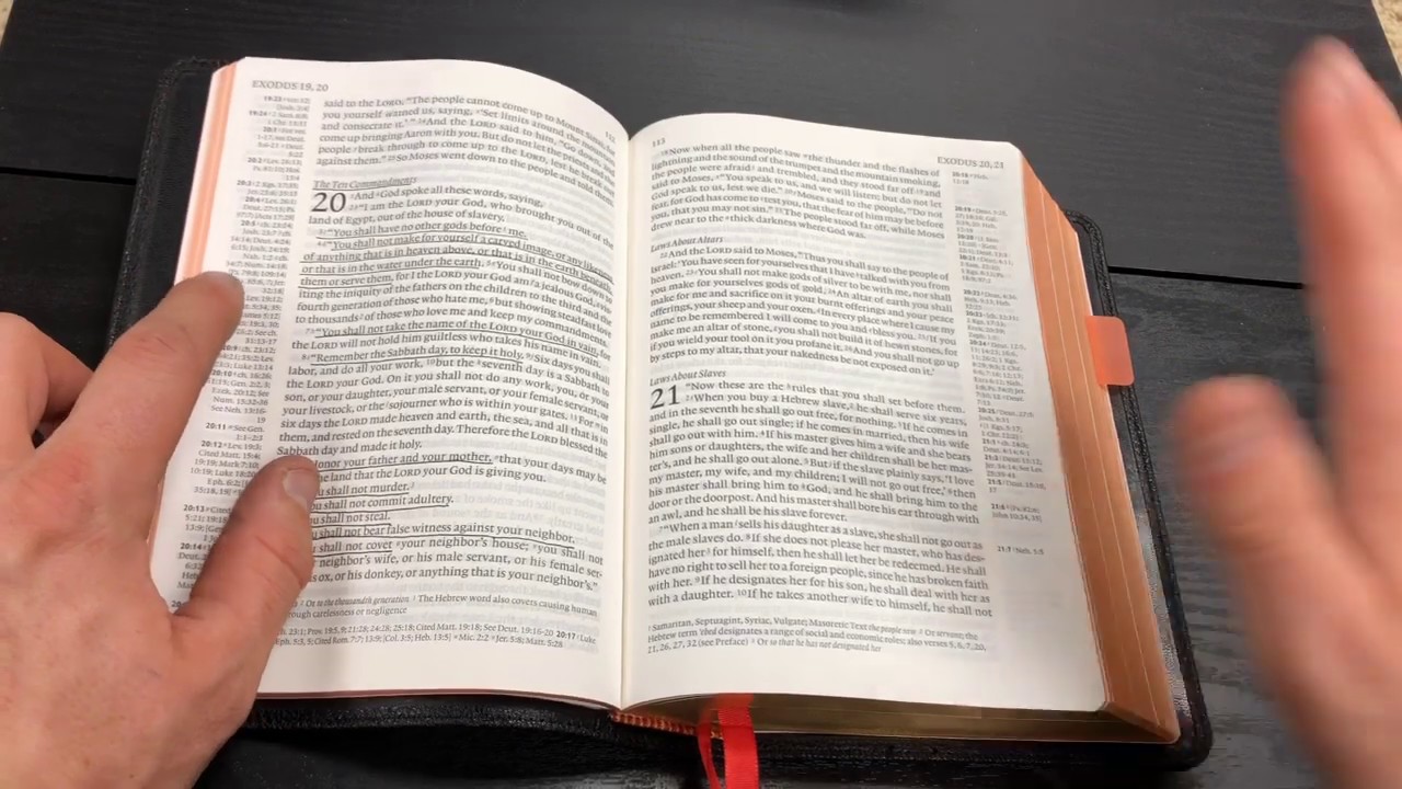 Cambridge Clarion Bible Review (Black Goatskin)