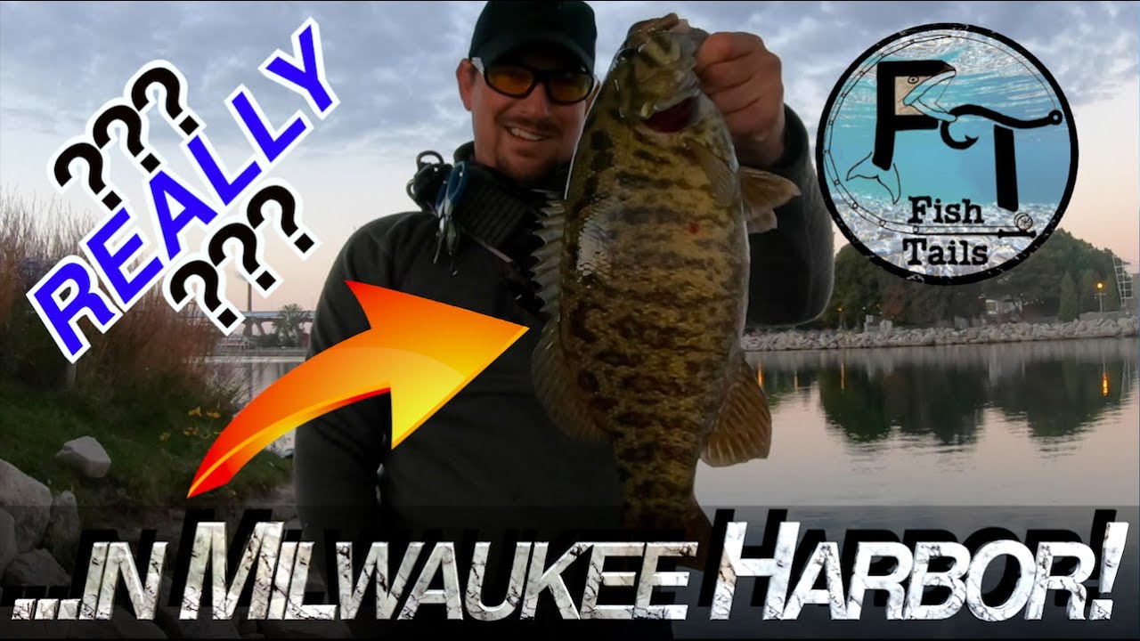 Fishing Lake Michigan Harbor (Milwaukee, Port Washington) brown trout & more 