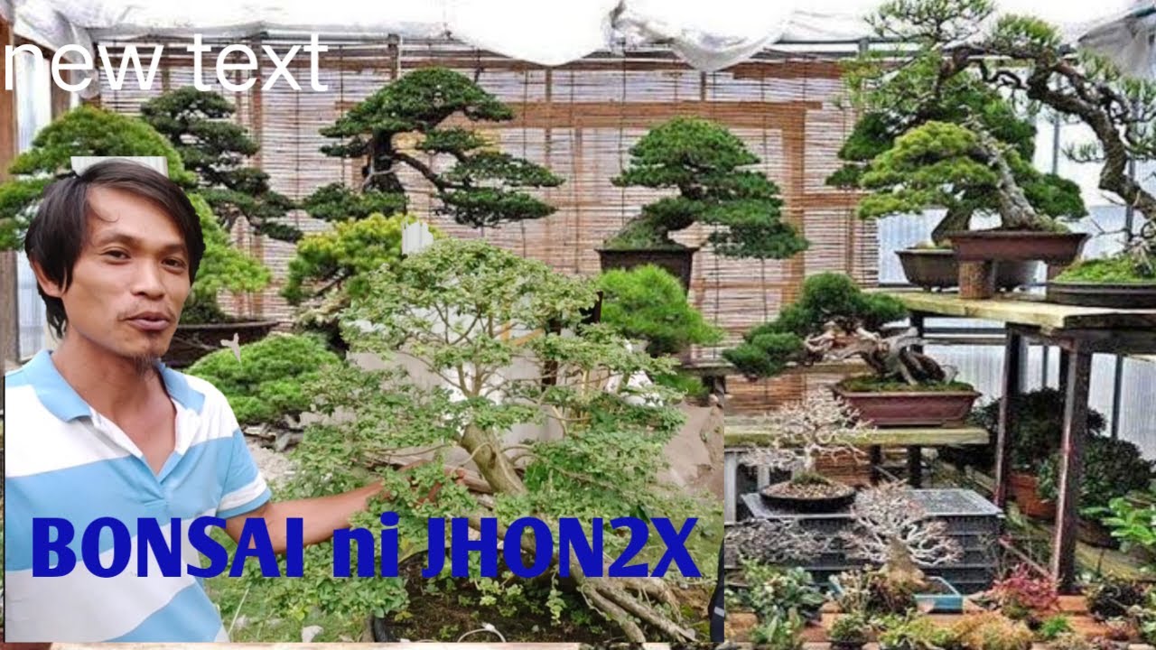 BONSAI 101 : PAANO MAG BONSAI  II  TIPS SA PAG AALAGA NG BONSAI