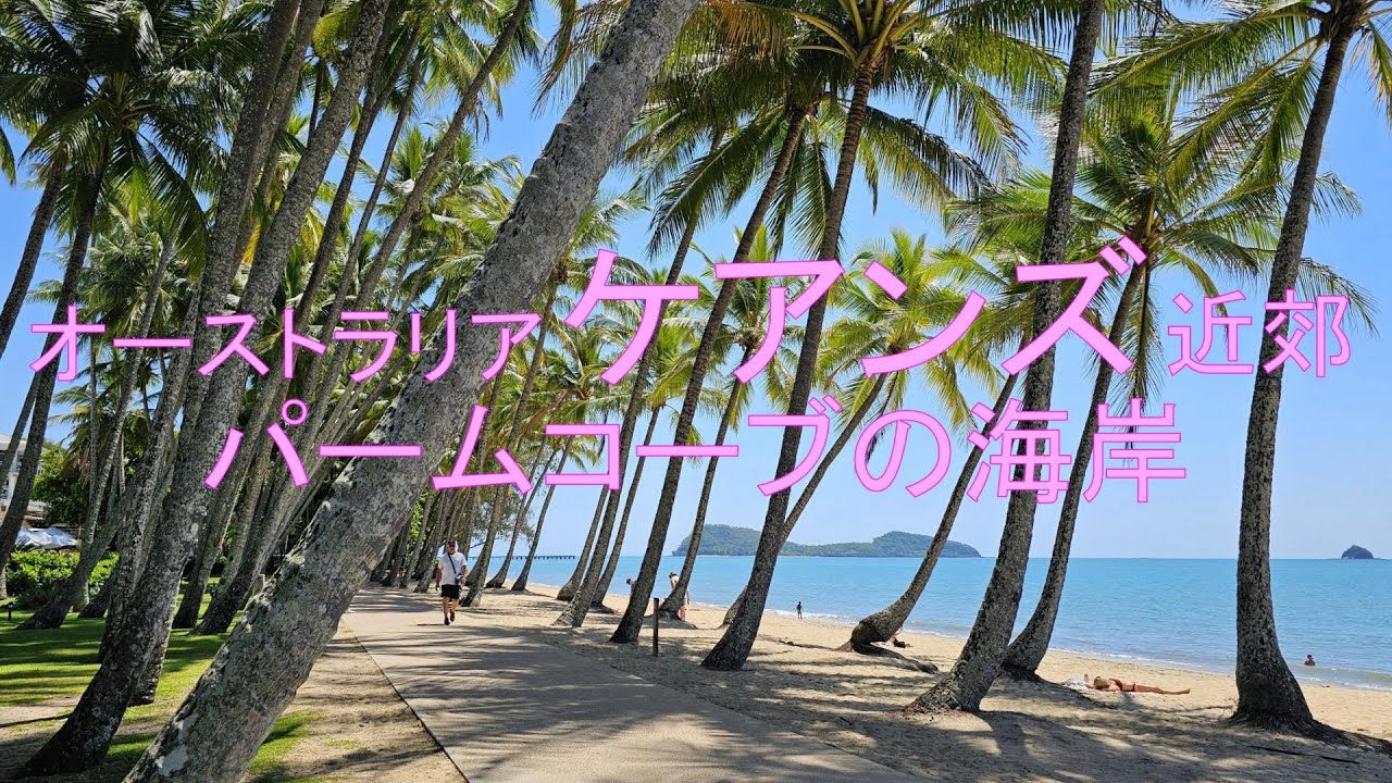 オーストラリアのグレートバリアリーフの玄関口：ケアンズに行き、近郊のオーストラリア有数の美しいビーチリゾート：パームコーブを日帰り観光しました（2025年10月１日）