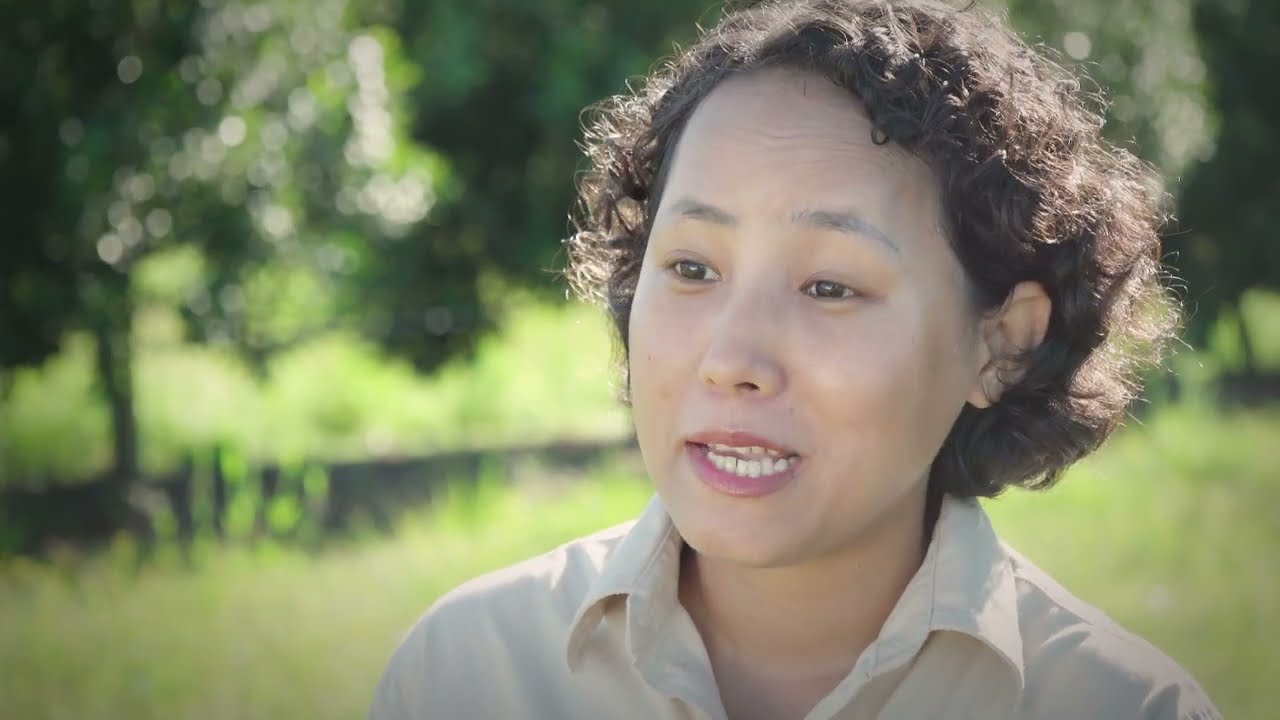 Bee Friendly Farming Case Study - Boombera Park Macadamias