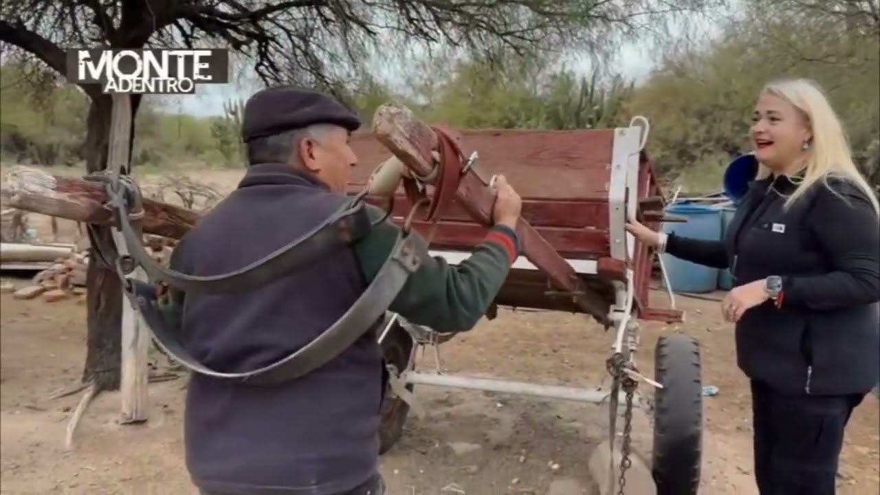 📺 Programa completo 06-09