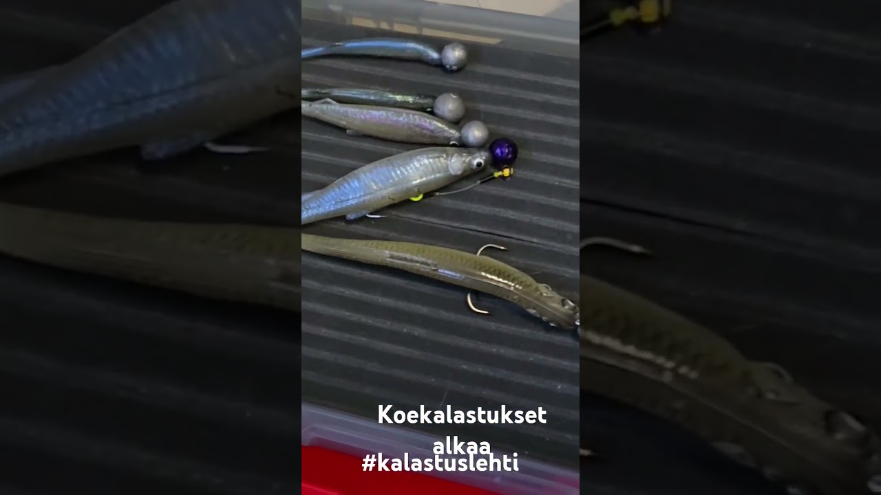 Koekalastukset 2025 alkaa #fishing #kalastuslehti #hianooo #kelluvatjigit #jigikalastus #testit