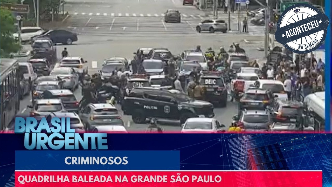 Quadrilha que invadiu mansão em São Paulo é 