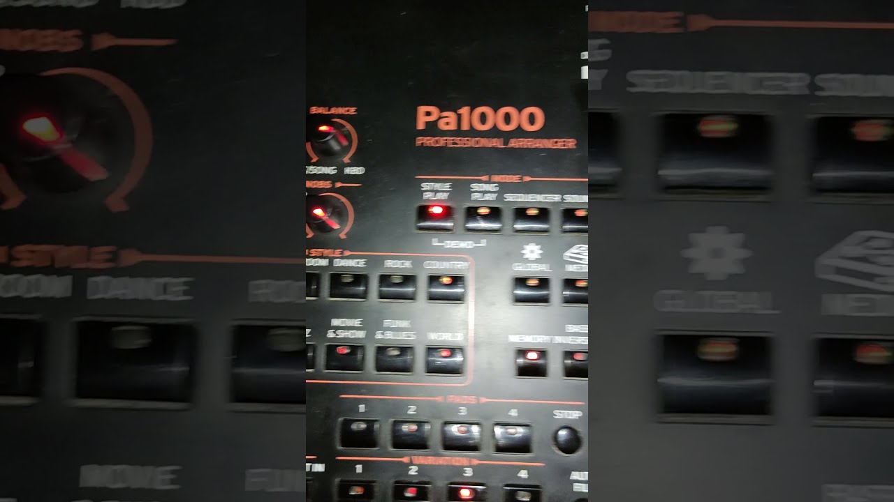 Metal plate under the key (Korg PA1000