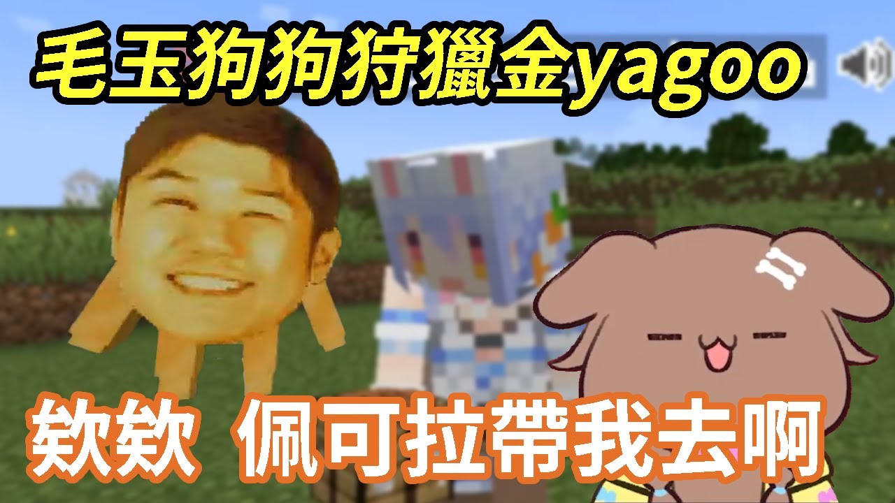 別跑啊YAGOO，我是你們家藝人！毛玉狗狗和佩可拉一起尋找金YAGOO【戌神ころね/兎田ぺこら】【Hololive中文精華】【戌神沁音/兔田佩克拉】