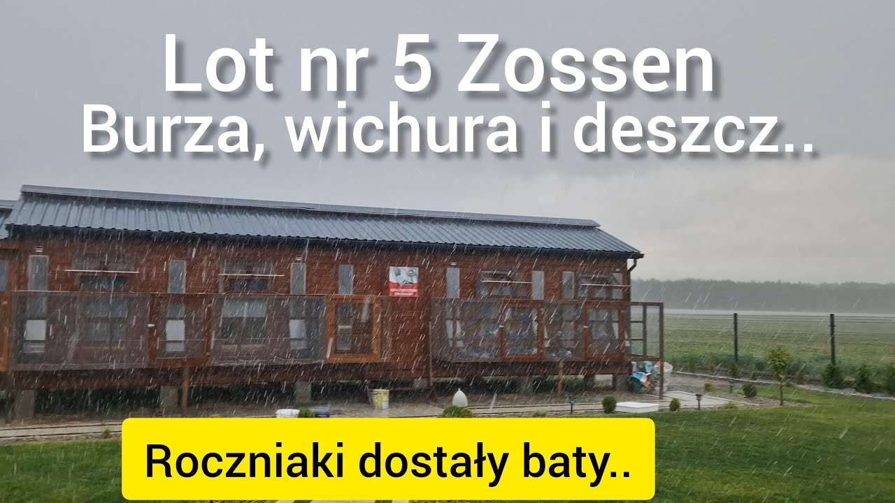 LOT NR 5 ZOSSEN✅️ BURZA, WICHURA I DESZCZ😱 ROCZNIAKI DOSTAŁY BATY ✅️ Gołębie Pocztowe