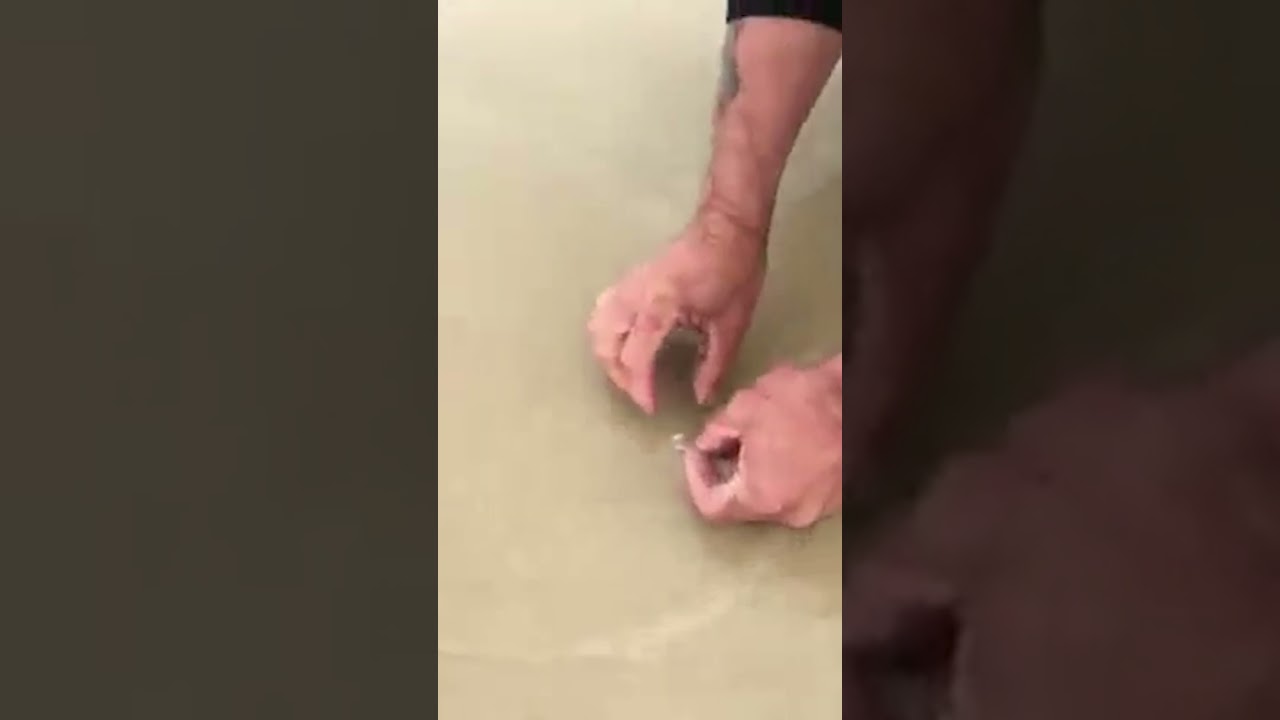 How To Catch Sea Worms