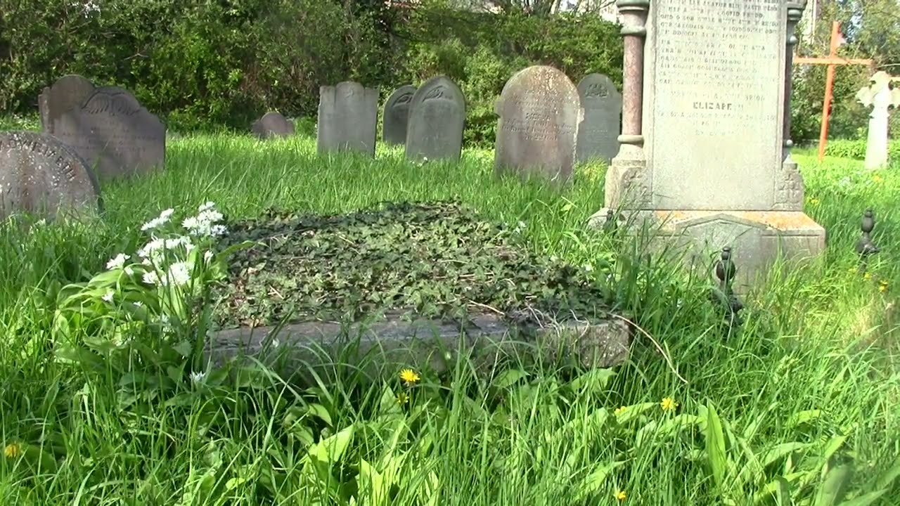 Nature-Flowers-Birdsong   -  Peace in Llanddulas Churchyard, North Wales