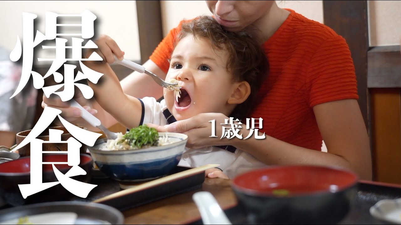 【爆食】フランス育ち1歳が日本のシラス丼を初めて食べた結果が