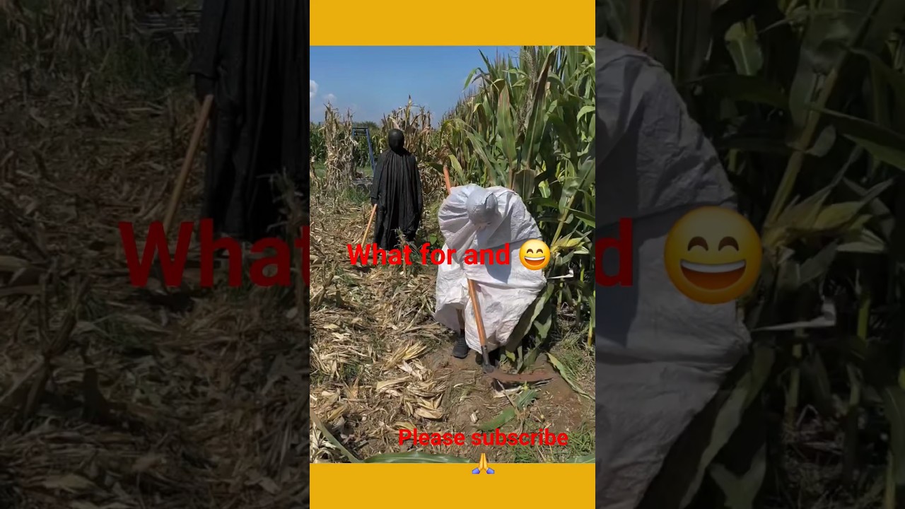 Kwai Funny tiktok: Funny Videos 2026 Chinese 😁 😂 Video