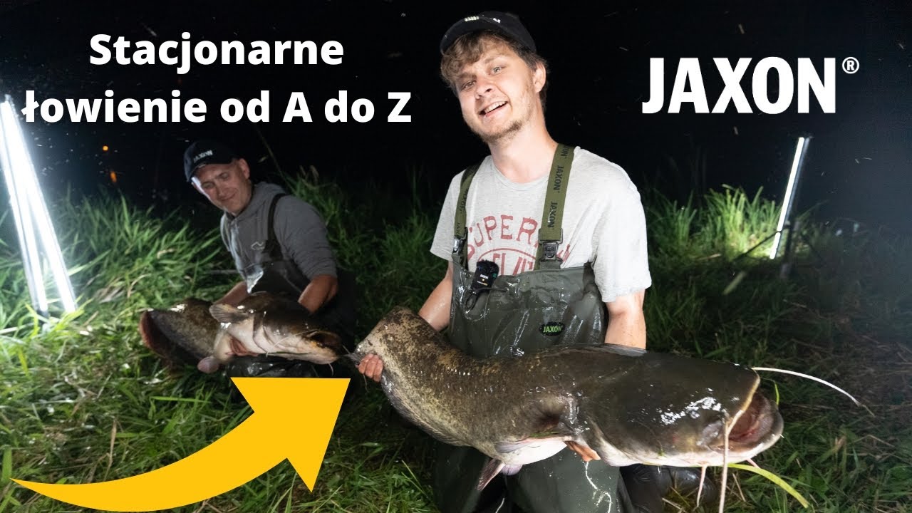 Stacjonarne Łowienie Sumów: Kompletny Poradnik od A do Z + Bonus - Klenie na Chleb