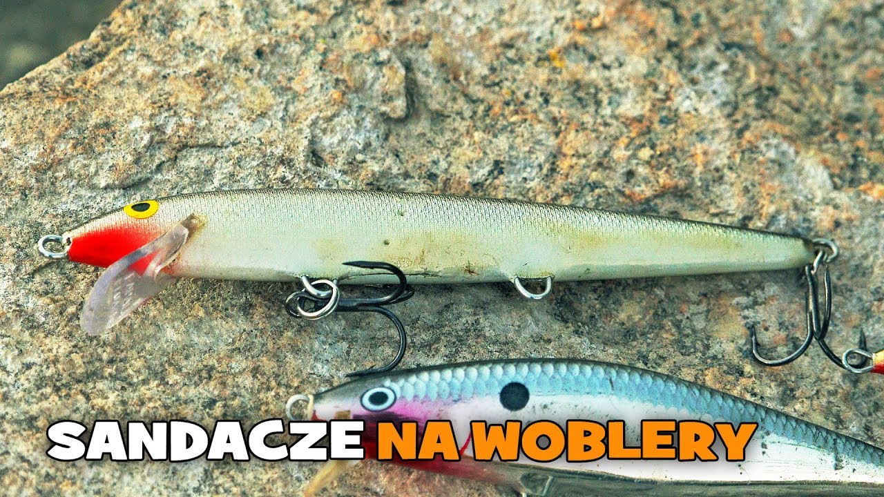 Wędkarstwo i sandacze na woblery | O co chodzi w nocnym łowieniu sandaczy spod powierzchni [WP]