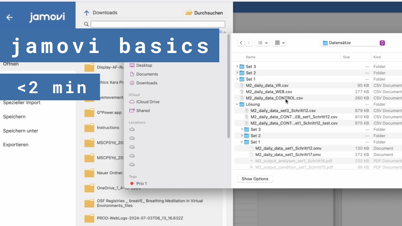jamovi Datensatz einlesen | .csv Datei &ouml;ffnen | Datenaufbereitung und Datenanalyse
