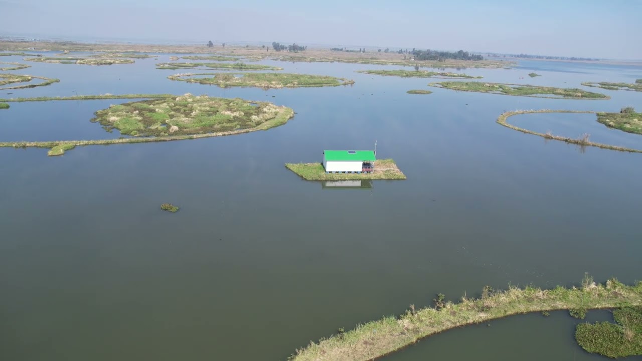 Mingsel8