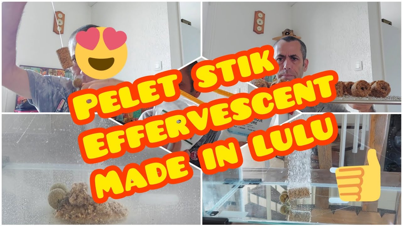 pelet stik Effervescent made in lulu dernière partie
