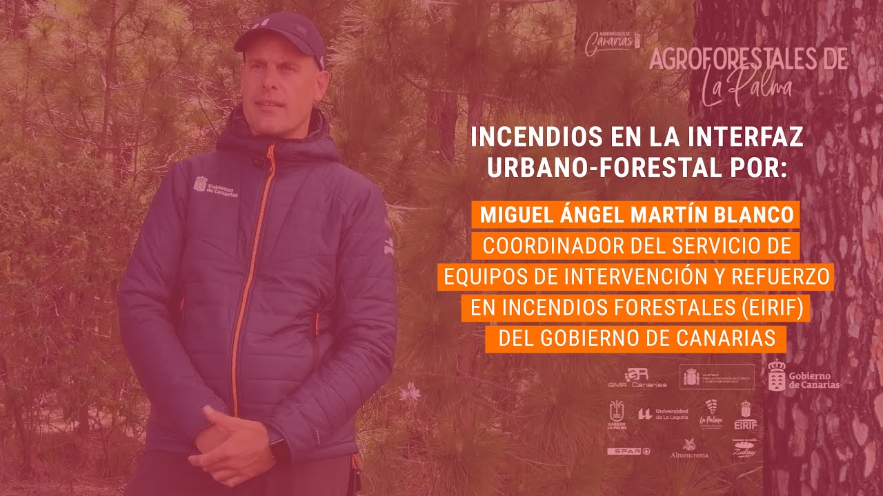 MOD2. Incendios forestales en la interfaz urbano-forestal.