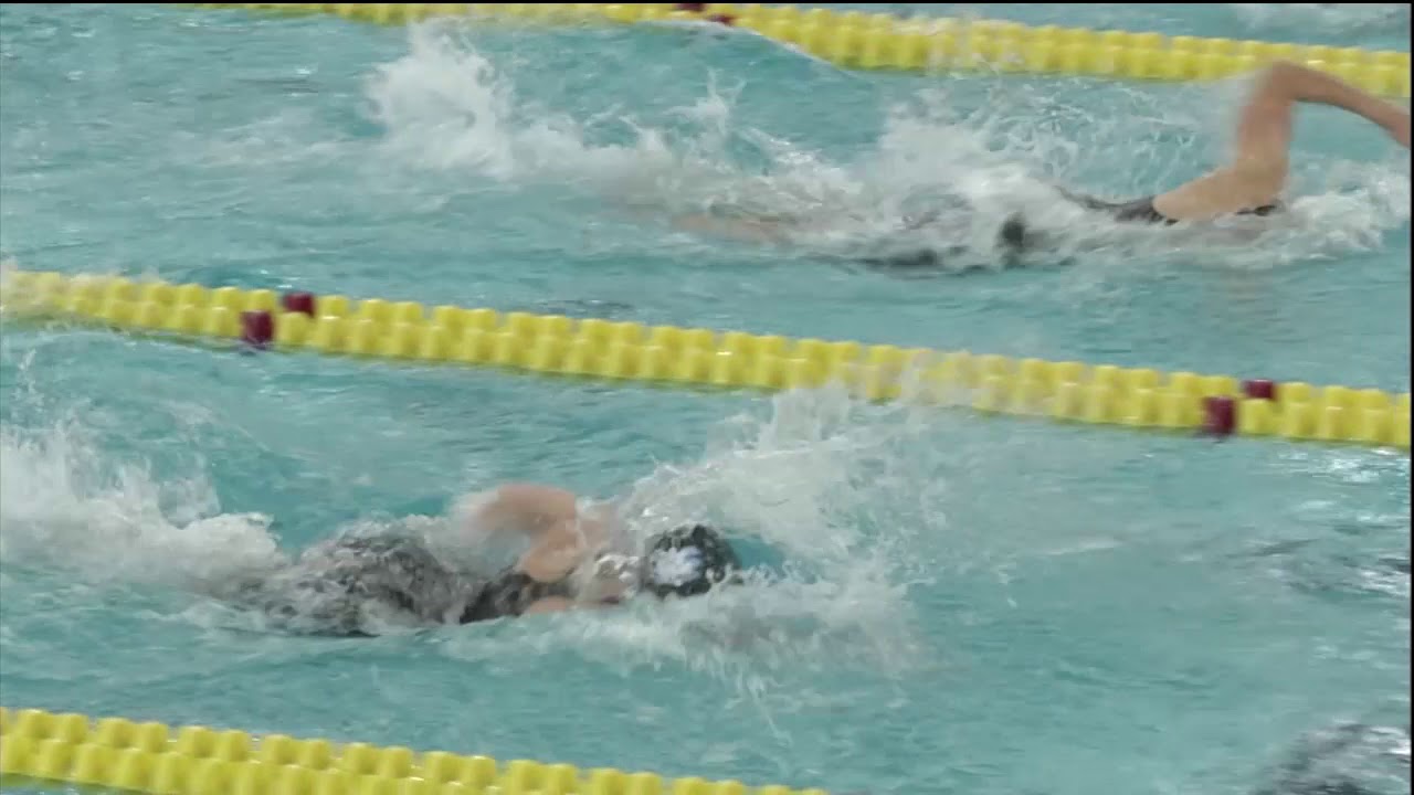 State Swimming Highlights 2019 - Blaine Bengals