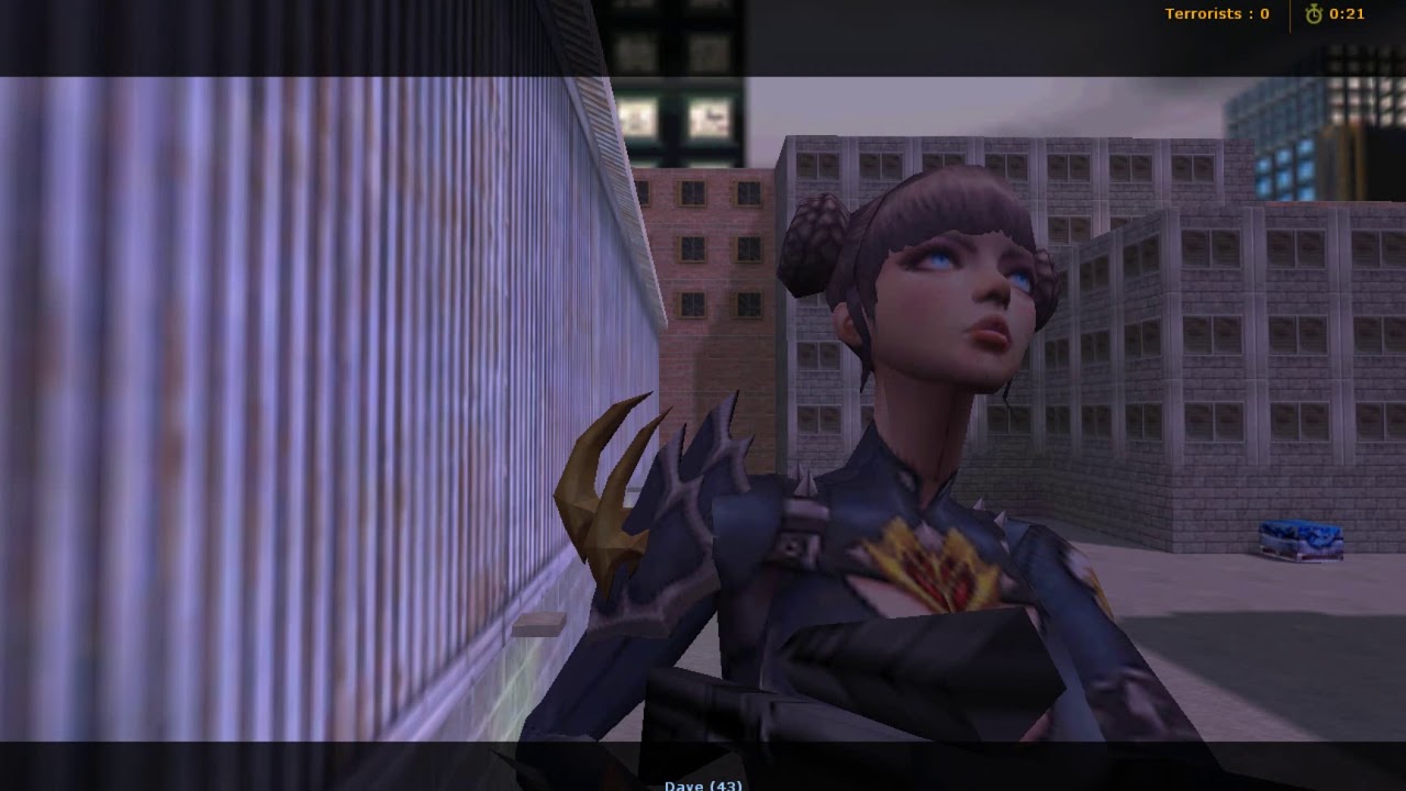 CS 1 6 Female Skin Hostage and Characters