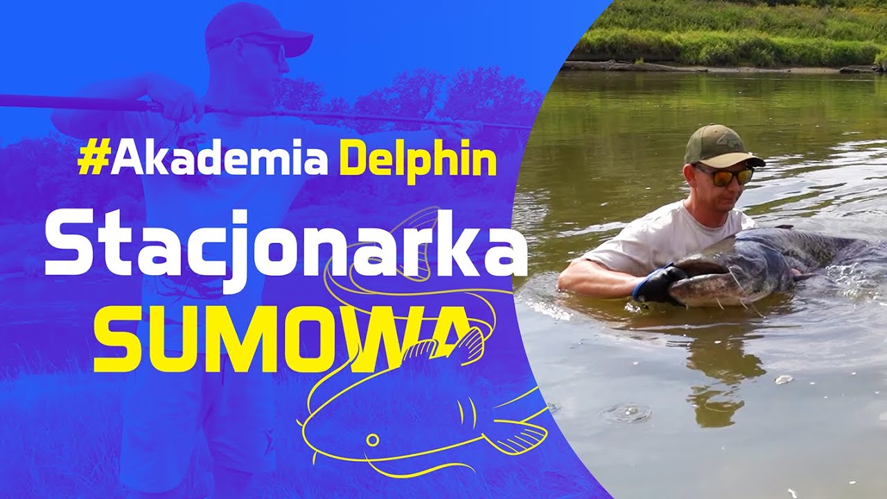 Stacjonarka sumowa na Odrze 2024 - #AkademiaDelphin