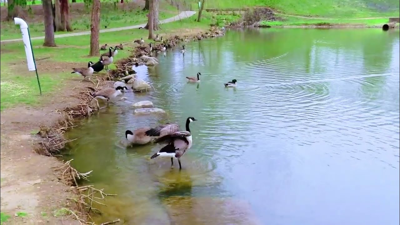 Chillicothe Ohio: Yoctangee Park Tour & First Capital District