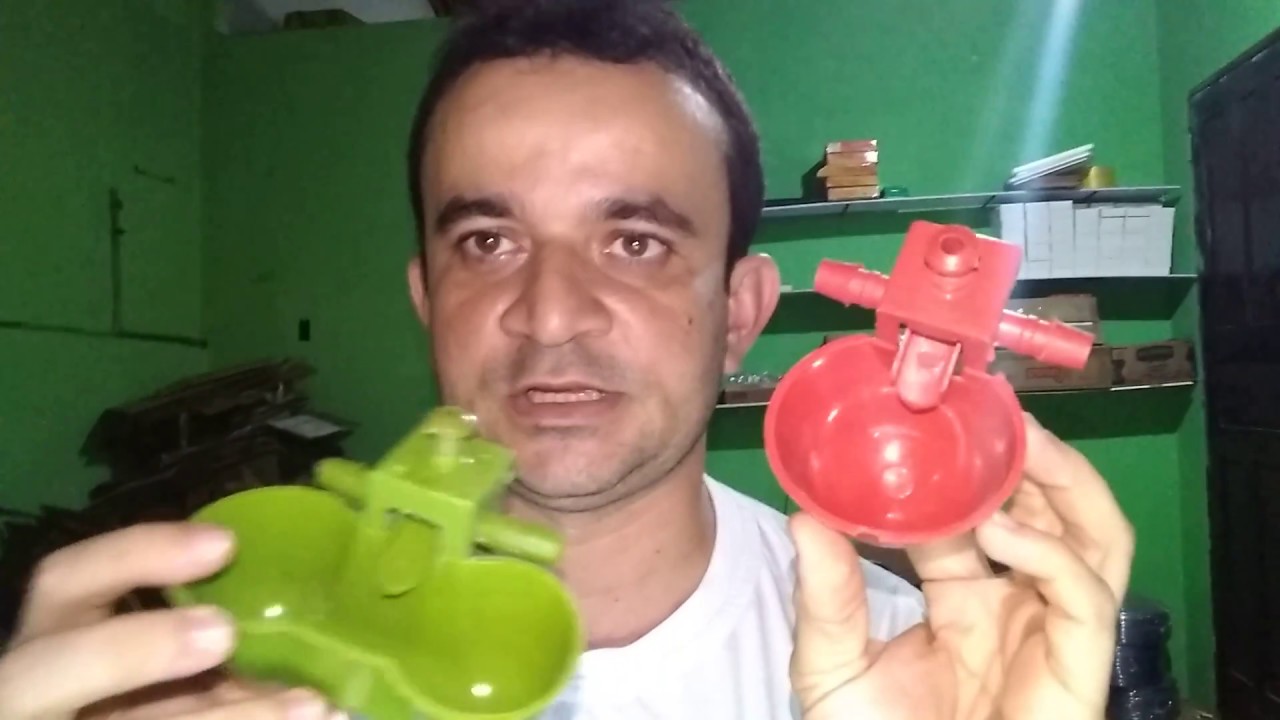 O MELHOR BEBEDOURO PARA GALINHAS E CODORNAS