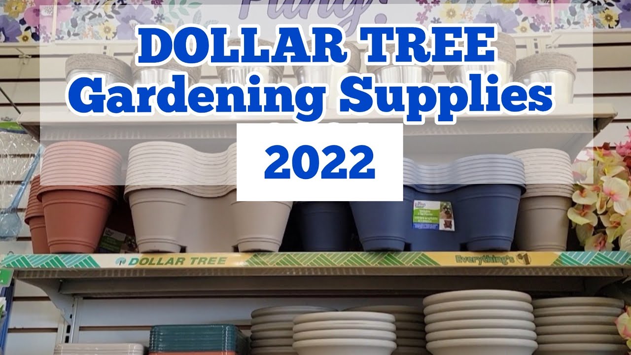 Dollar Tree Gardening Supplies 2022