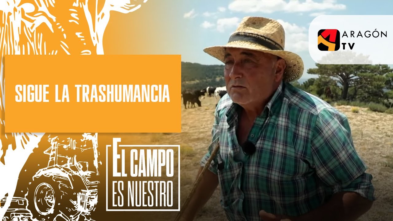 Sigue la trashumancia | Lionel Martorell