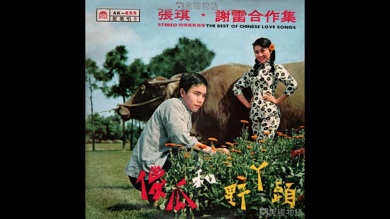 謝雷. 張琪 - 傻瓜與野丫頭