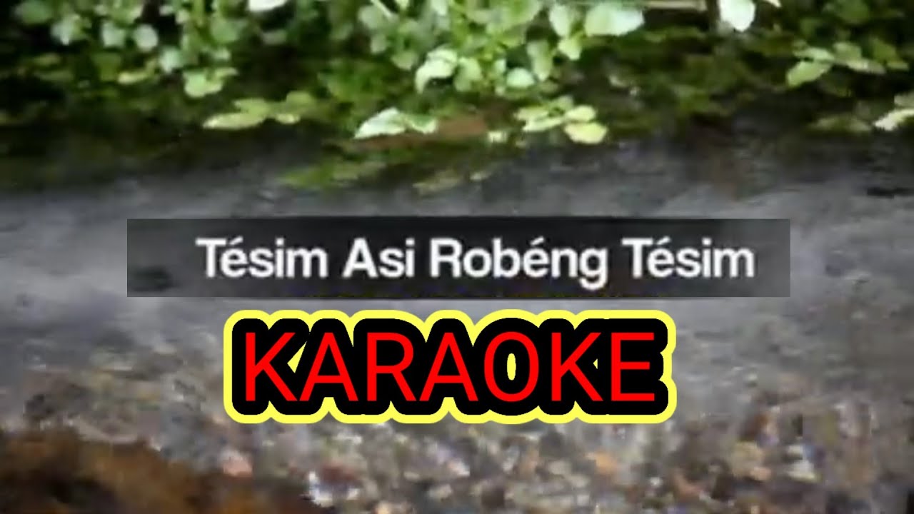 Tesim Asi Robeng Tesim Adi Song KARAOKE🔥My Favourite Adi Song
