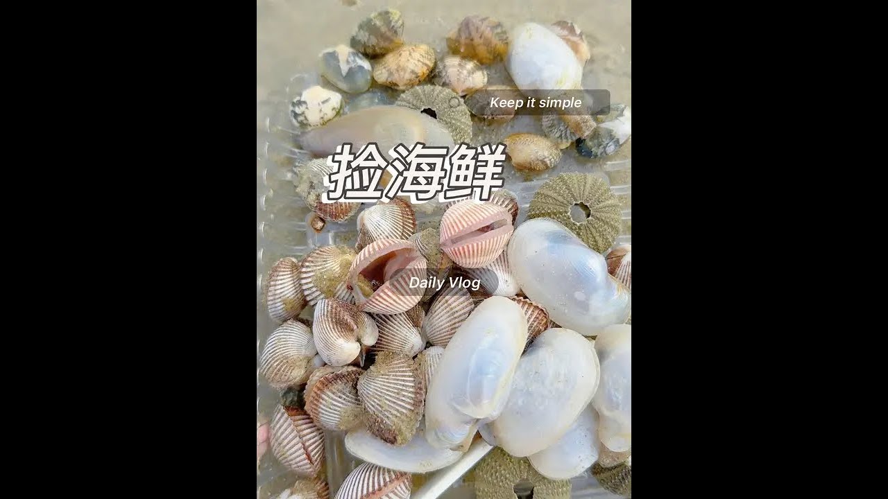 大墩海海神广场 今天不捡贝壳捡海鲜，西南浪大把一些贝类都推上来了，暑假是西南浪季，大多数时候估计也会是这种情况，浪大水混海水也不咋好看#赶海 #大海的馈赠 #北海#捡贝壳 #解压
