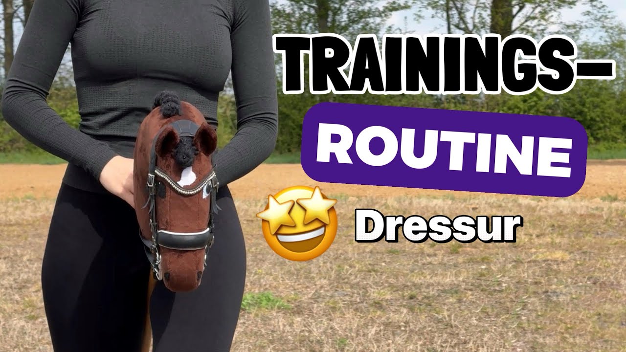 Meine DRESSUR-Trainingsroutine [HOBBYHORSING] 🤩| _hobbyhorsing_de