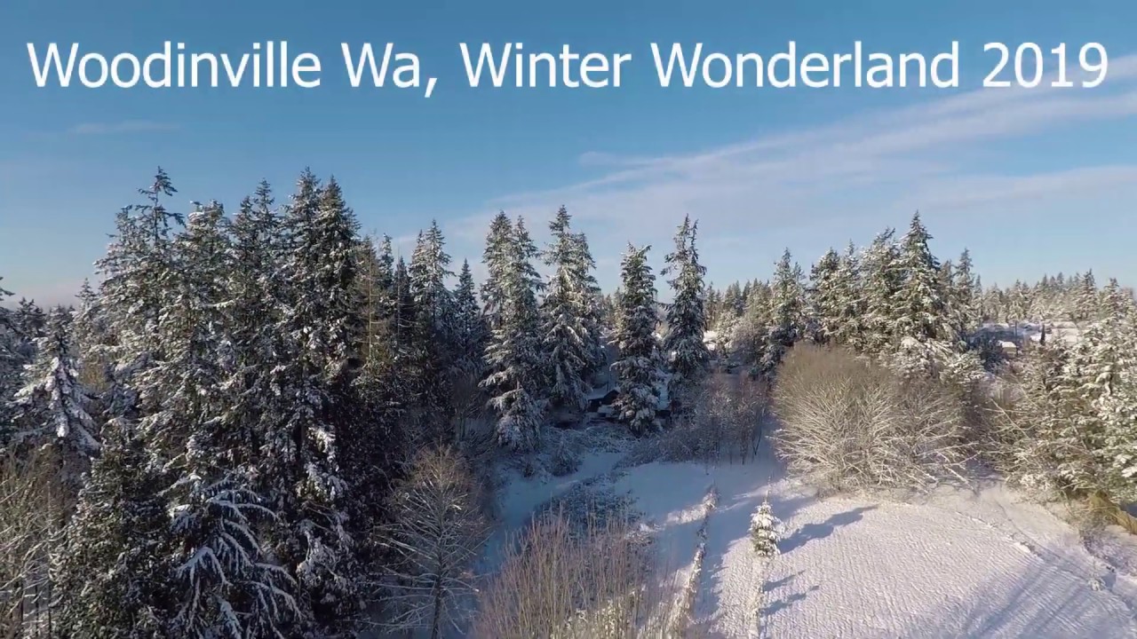 Woodinville Wa, Winter Wonderland 2019