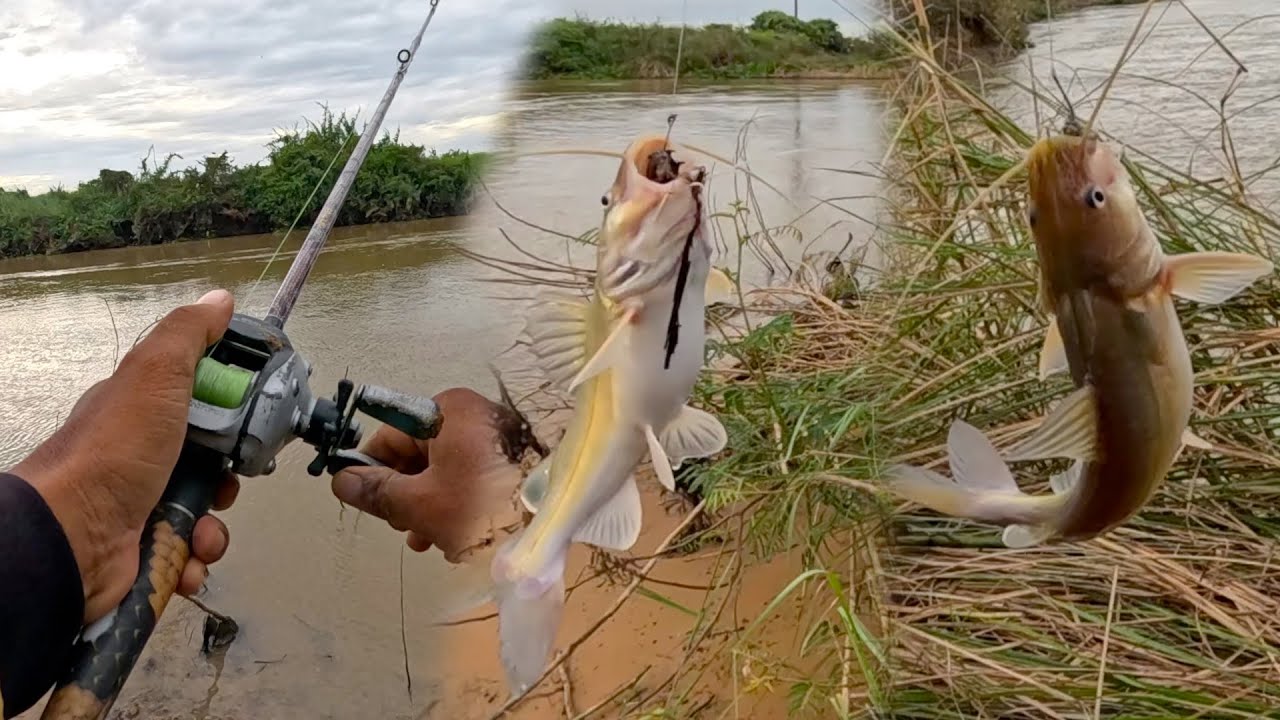 This is my amazing fishing trip along the river with Catfish