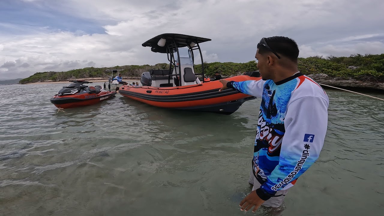 Dinghy Zodiac Pro model 6.5