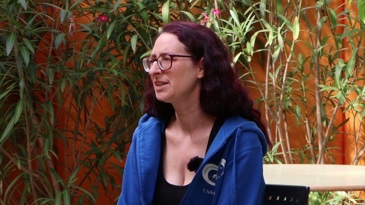 Tierheim Nürnberg hautnah 🩷 Interview #02 | LiveForLifeTV | Staffel 09