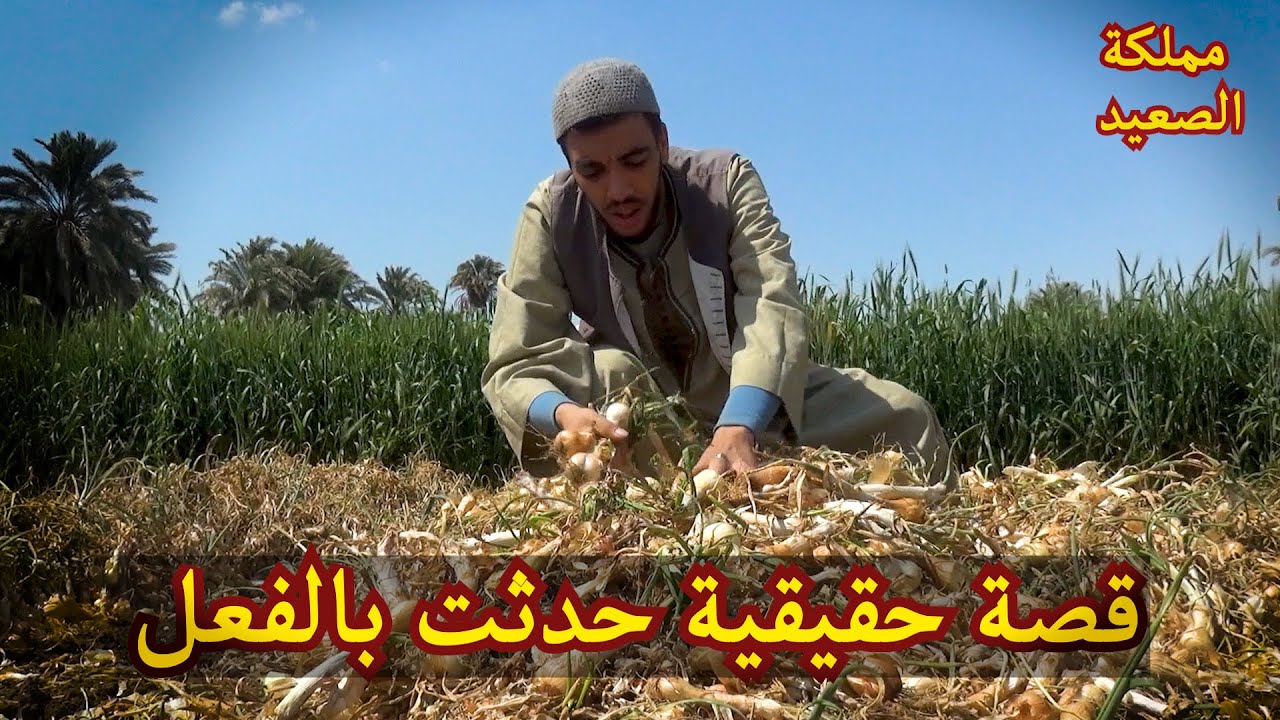 قصة حدثت بالفعل / قصة ألاب وألاربع أبناء  / مؤثرة جدااا
