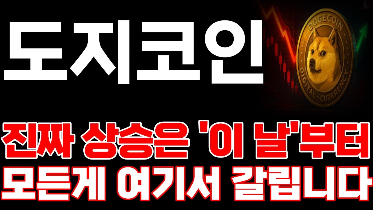 [도지코인] 진짜 상승은 '이날'부터 입니다 모든게 여기서 갈립니다! *홀더 필수시청* #도지코인
