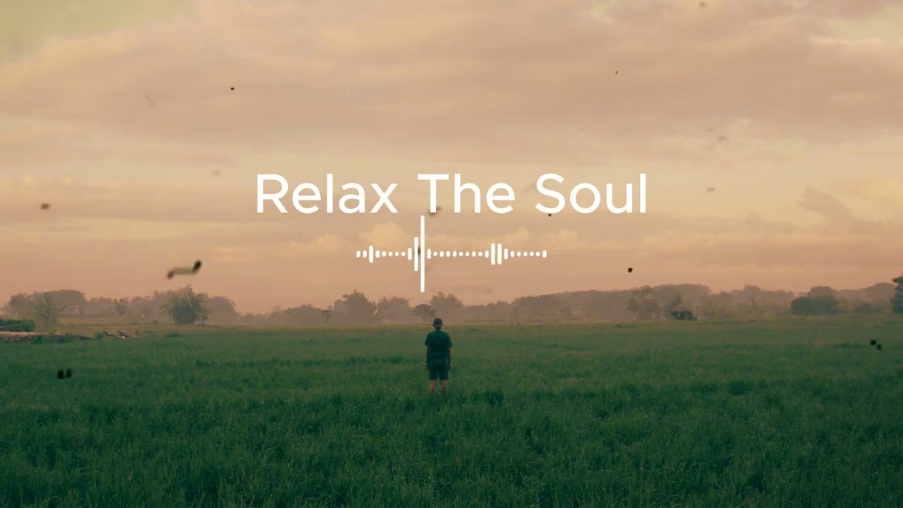Beautiful Quiet Life Piano (Cozy & Peaceful)