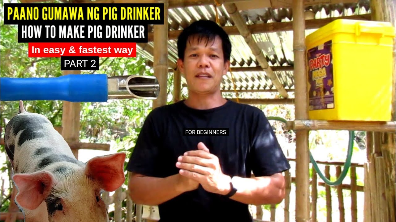 HOW TO MAKE PIG DRINKER (PART 2) DODONG VILLARAN l 3rd batch l Vlog 110