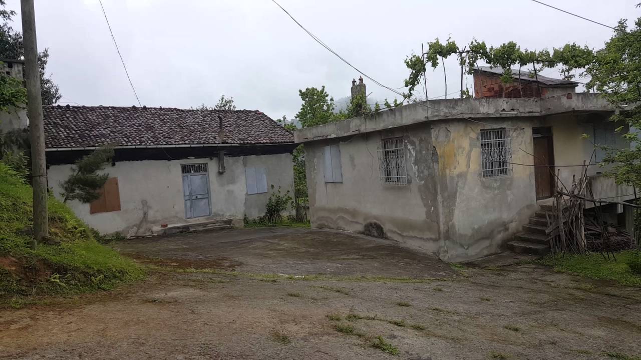 Trabzon Araklı Ayvadere (AHO)