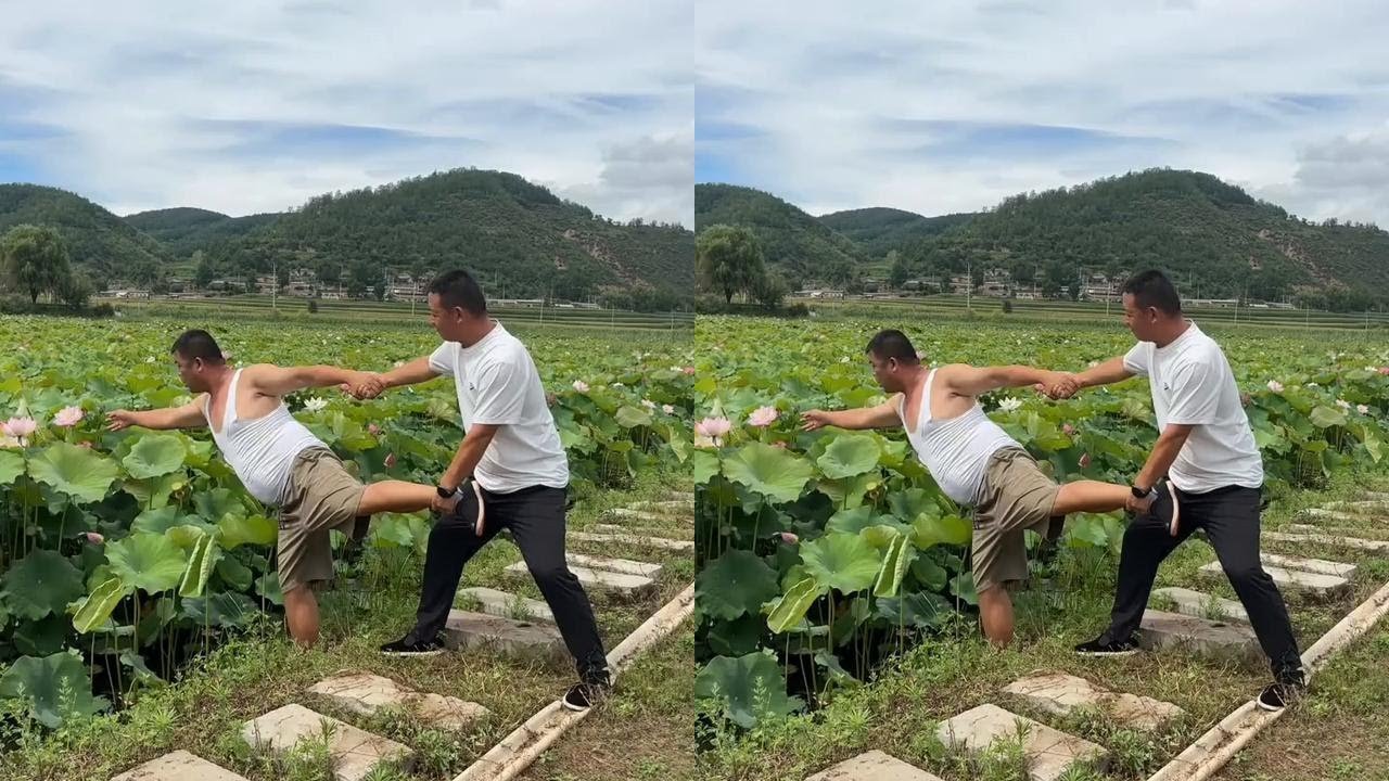 小波就是故意的