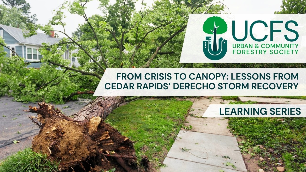 From Crisis to Canopy: Lessons from Cedar Rapids’ Derecho Storm Recovery